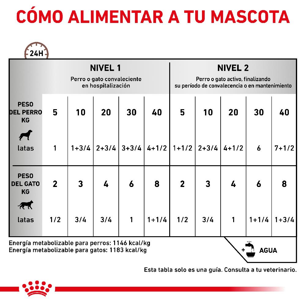 Miscota Pacco 12 Royal Canin Roya Canin Cibo Umido per Cani e Gatti Lattina Recovery Online Outlet