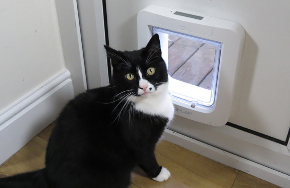 Miscota Sure Petcare Microchip White Tail Sureflap Sottocosto