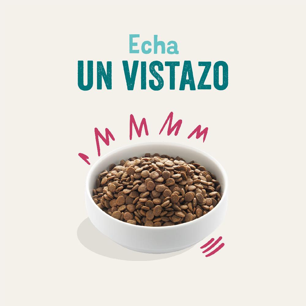 Miscota Edgard & Cooper Adult Senza Cereali Con Cervo E Anatra Freschi Convenienza
