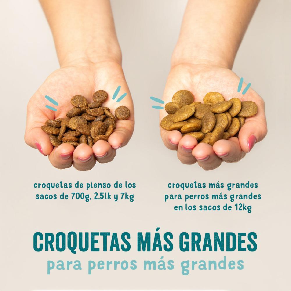 Miscota Edgard & Cooper Adult Senza Cereali Con Cervo E Anatra Freschi Convenienza