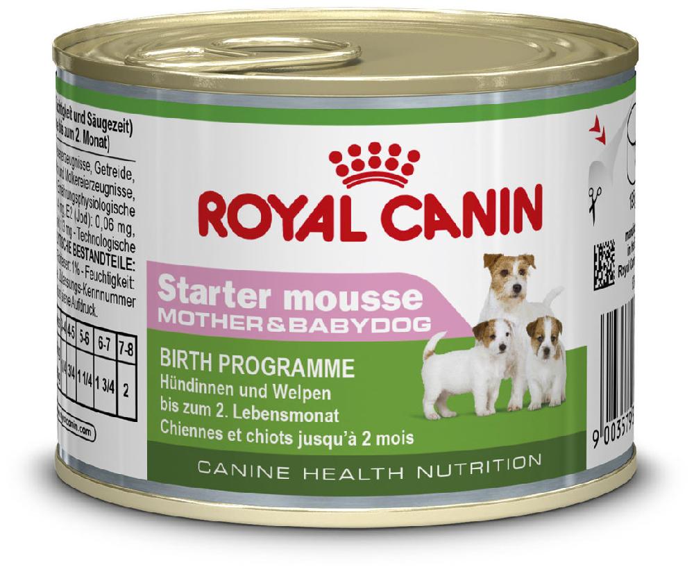 Miscota Pacco 12 Royal Canin Cibo Secco per Cani Starter Mousse Online