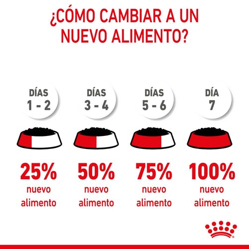 Miscota Pacco 12 Royal Canin Cibo Secco per Cani Starter Mousse Online