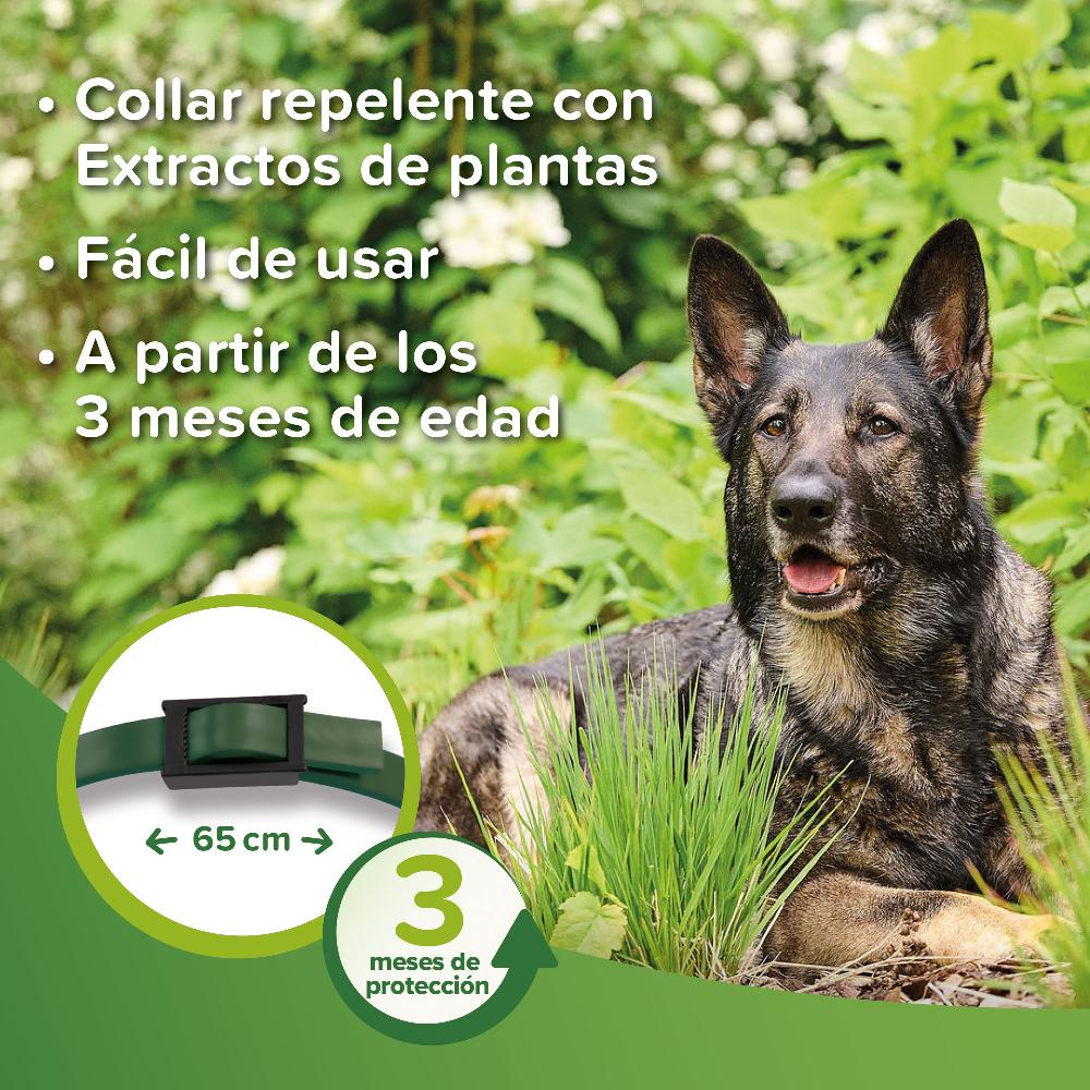 Miscota Beaphar Collare Bio Band con Neem per Cani In Vendita