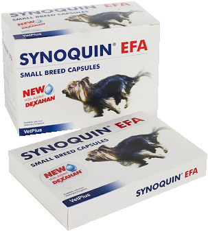 Miscota VetPlus Synoquin Joint Chondroprotector per Piccoli Cani Saldi