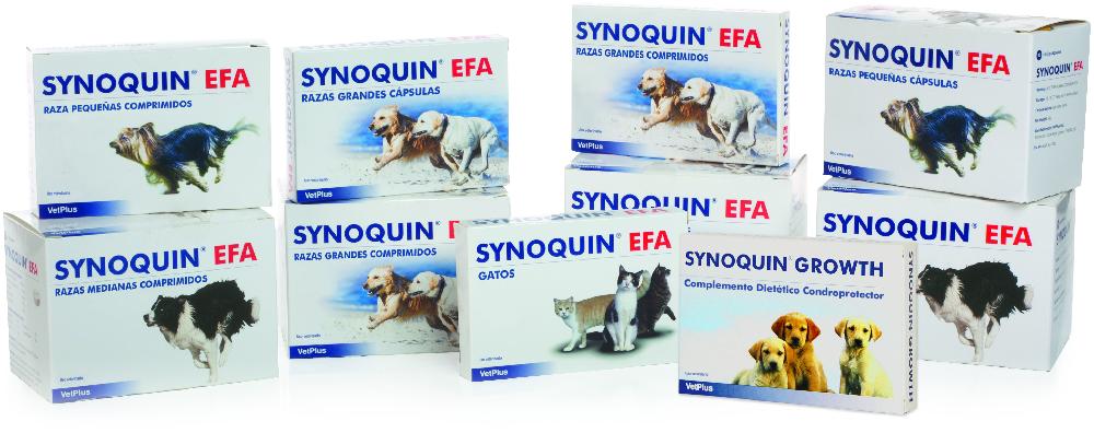 Miscota VetPlus Synoquin Joint Chondroprotector per Piccoli Cani Saldi