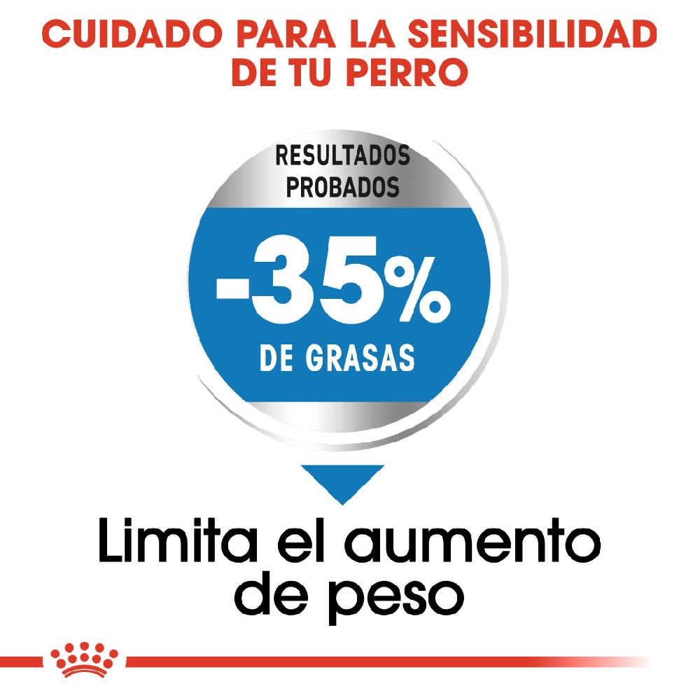 Miscota Royal Canin Maxi Light Weight Care per la gestione del peso in Plus Size Saldi Di Fabbrica