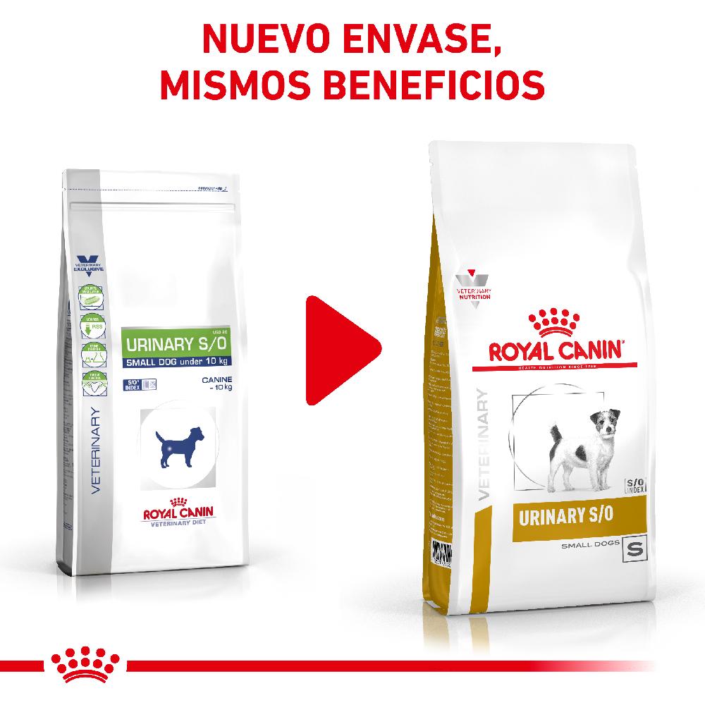 Miscota Royal Canin Cibo Secco per Cani Urinare S/O Small Dog Moda