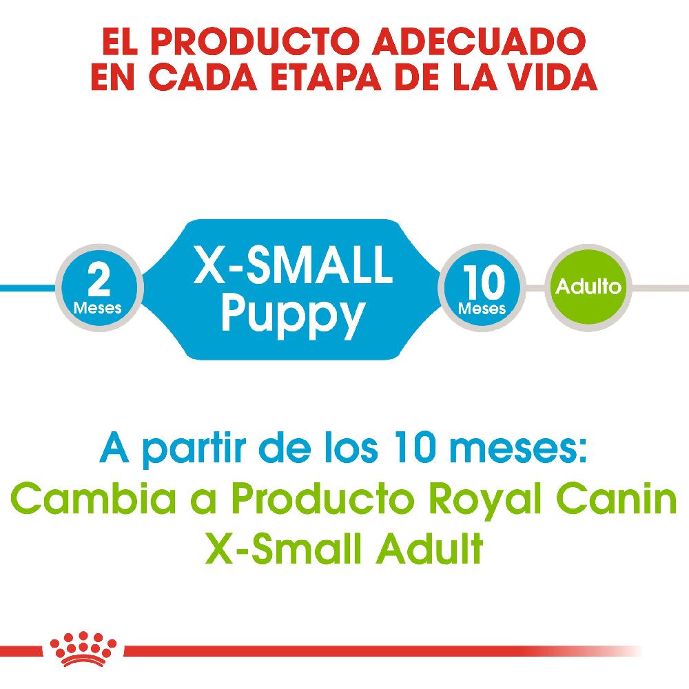 Miscota Royal Canin X-Small Puppy Cuccioli di razza miniatura 2025
