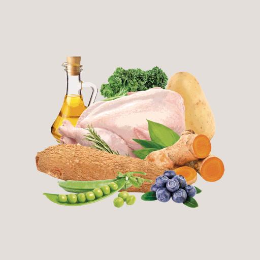 Miscota Traveness Ricetta di pollo naturale senza cereali per cani Nuovo
