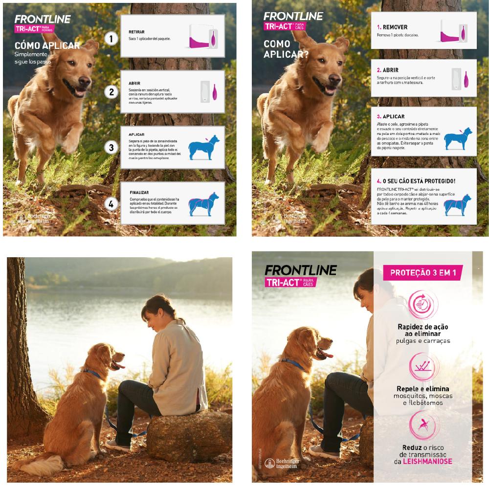 Miscota Frontline Pipette Tri Act per Cani di Taglia Piccola 5-10 Kg Spedizione Gratuita