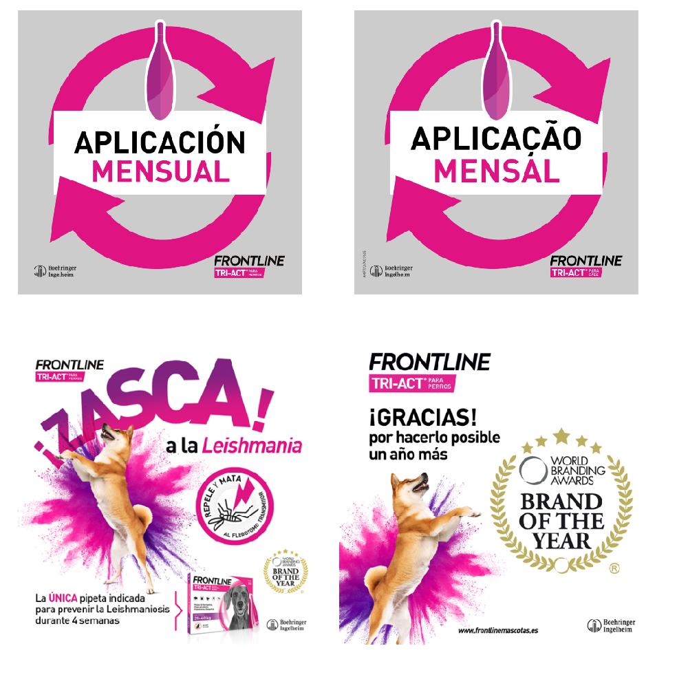 Miscota Frontline Pipette Tri Act per Cani di Taglia Piccola 5-10 Kg Spedizione Gratuita