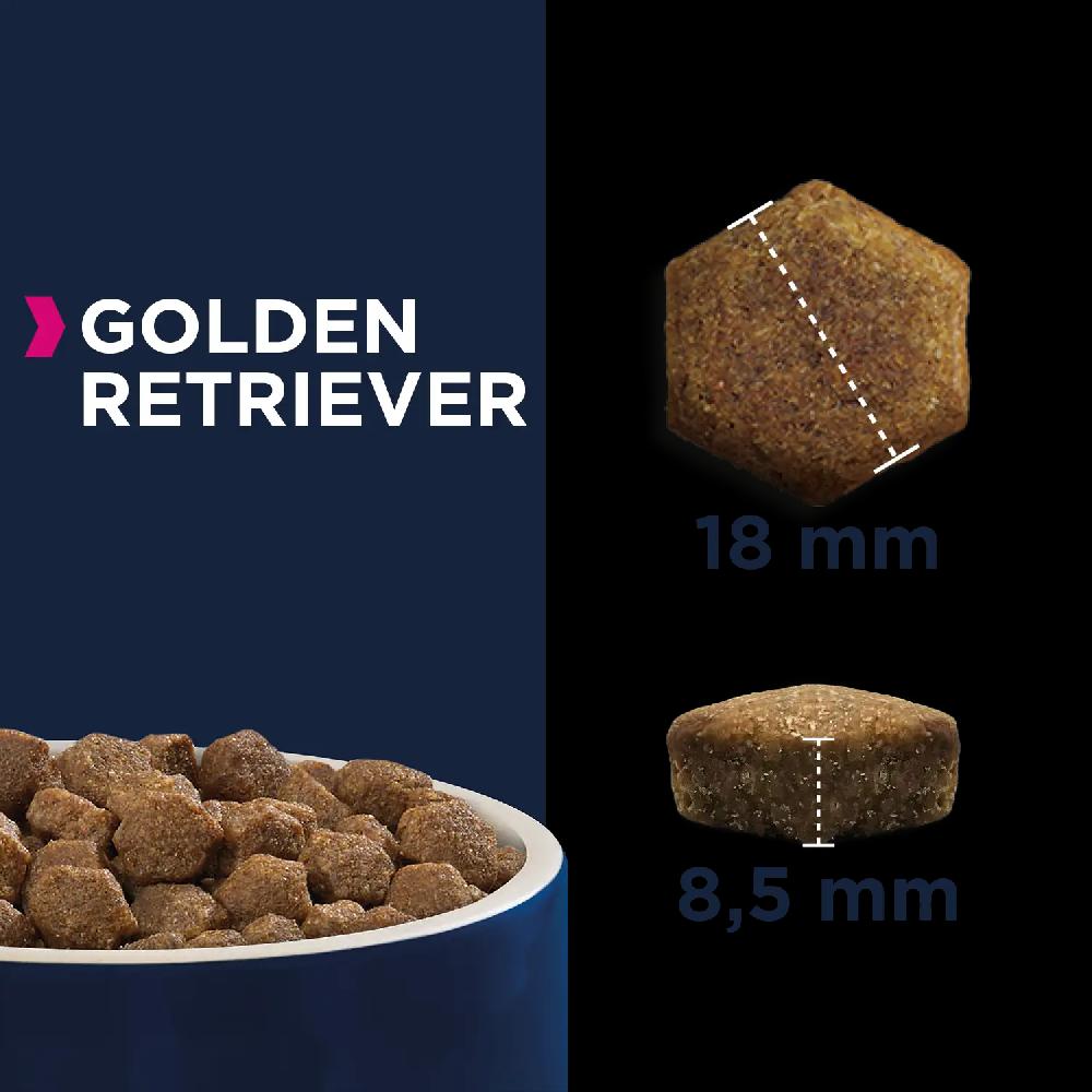 Miscota Eukanuba Golden Retriever 50% di sconto con spedizione gratuita