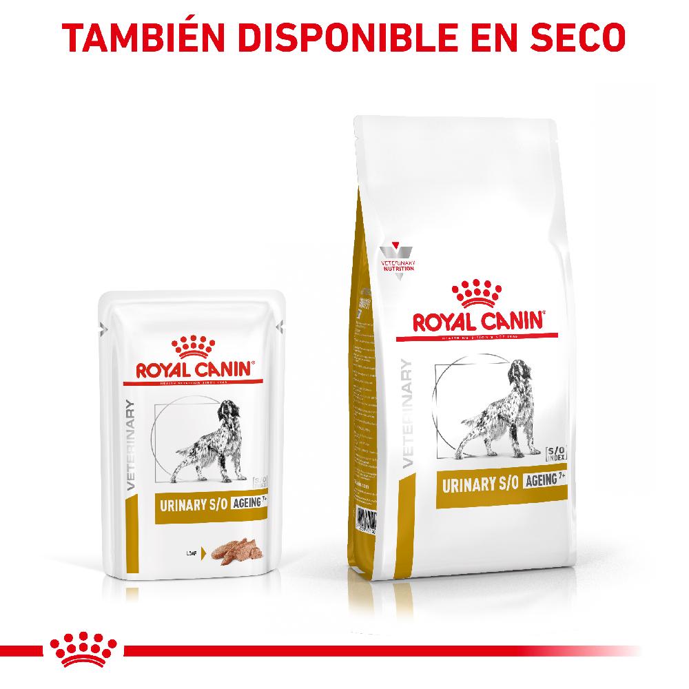 Miscota Royal Canin Vhn Dog Urinary Ageing+7 Negozi Online