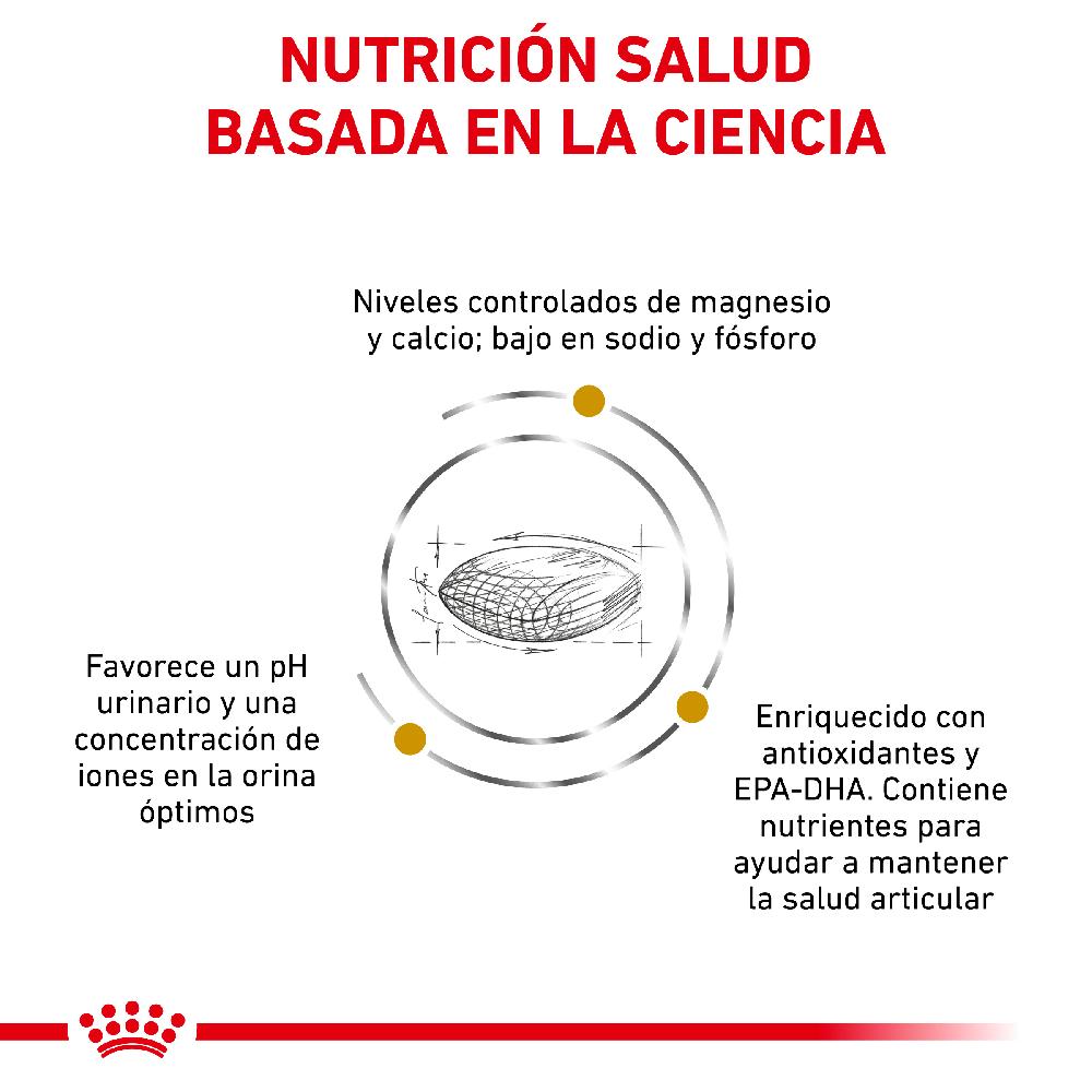 Miscota Royal Canin Vhn Dog Urinary Ageing+7 Negozi Online