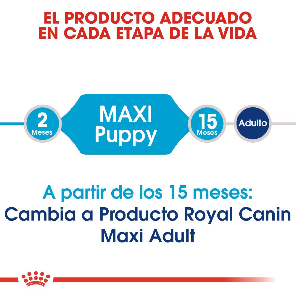 Miscota Royal Canin Maxi Puppy Cibo per cuccioli di razza grande Outlet