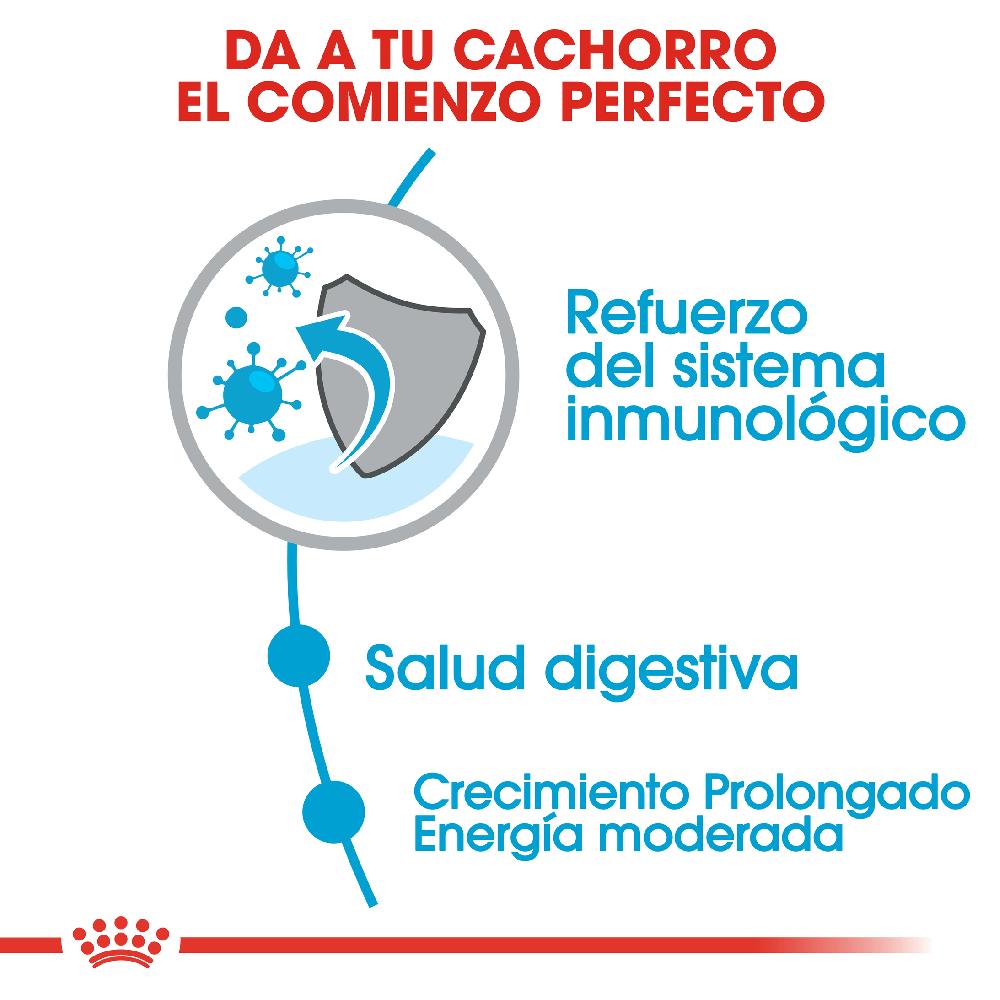 Miscota Royal Canin Maxi Puppy Cibo per cuccioli di razza grande Outlet