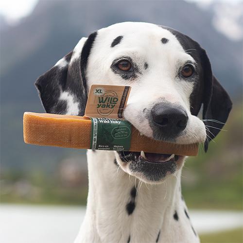 Miscota Wild Balance yak naturale del latte biter dell'Himalaya per Cani Vendita Calda