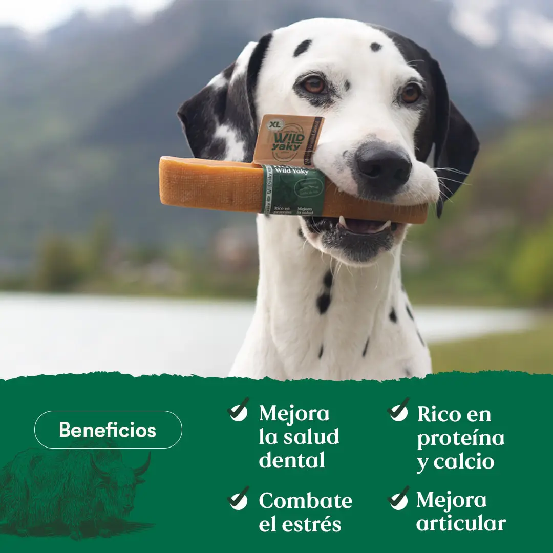 Miscota Wild Balance yak naturale del latte biter dell'Himalaya per Cani Vendita Calda
