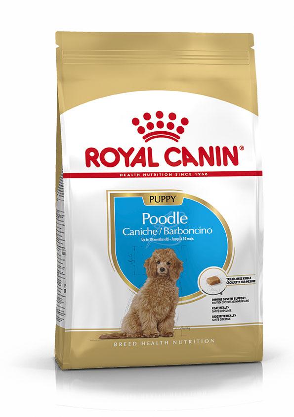 Miscota Royal Canin Poodle Puppy In Linea