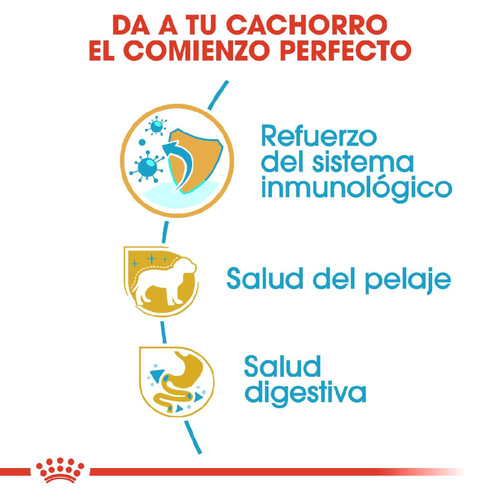 Miscota Royal Canin Poodle Puppy In Linea