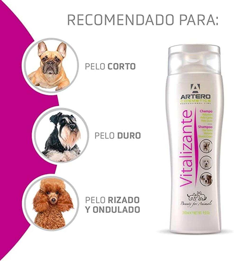 Miscota Artero Shampoo Vitalizer Qualità Garantita