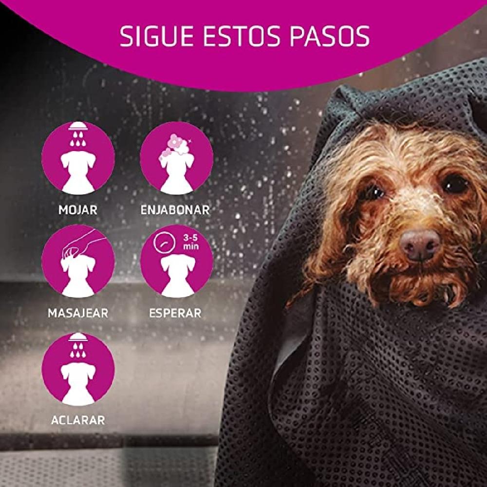 Miscota Artero Shampoo Vitalizer Qualità Garantita