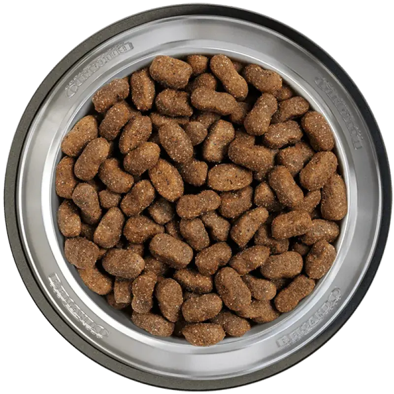 Miscota Belcando Adult Lamb & Rice Shopping Online