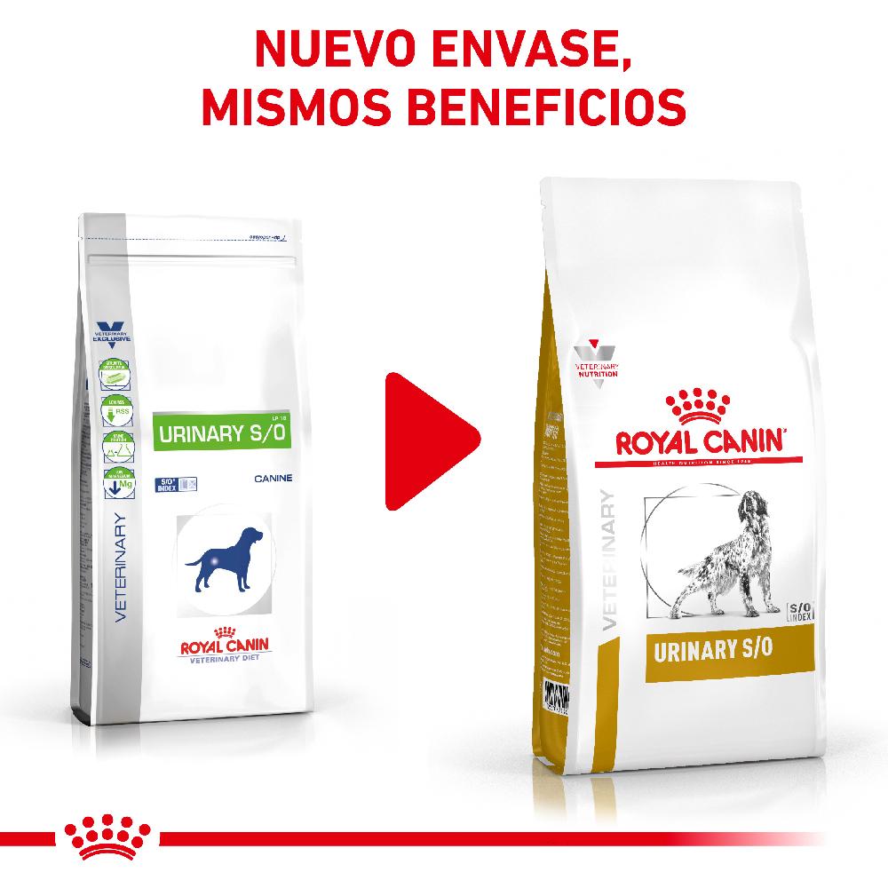 Miscota Royal Canin Cibo Secco per Cani Urinare S/O Canine Sottocosto