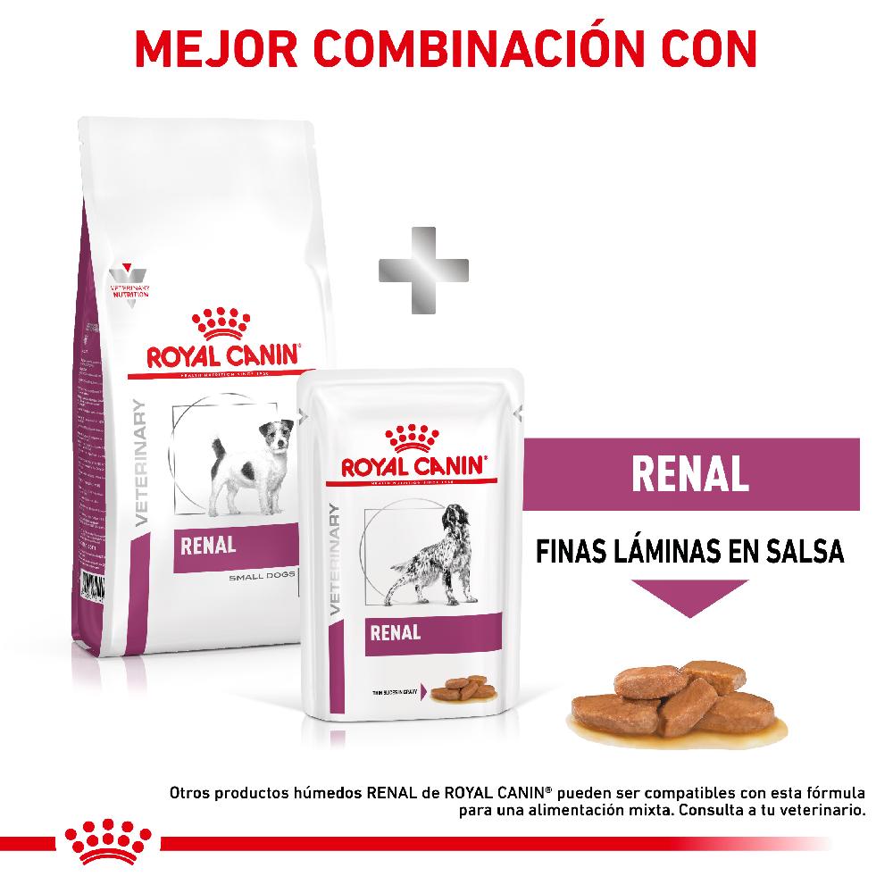Miscota Royal Canin Renal Small Dog Grande vendita