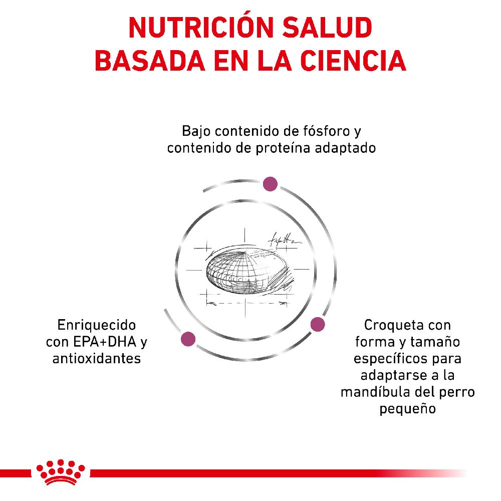 Miscota Royal Canin Renal Small Dog Grande vendita