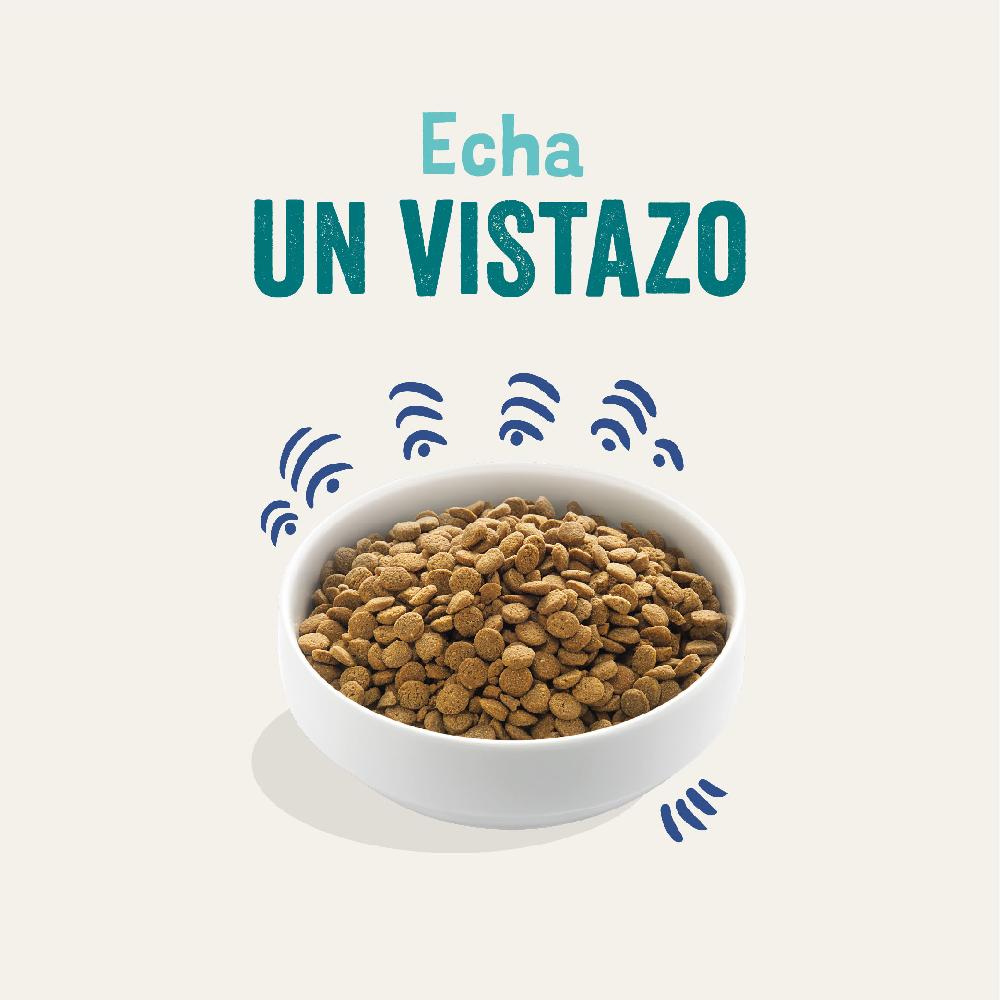 Miscota Edgard & Cooper Adult Senza Cereali Con Salmone Fresco Outlet