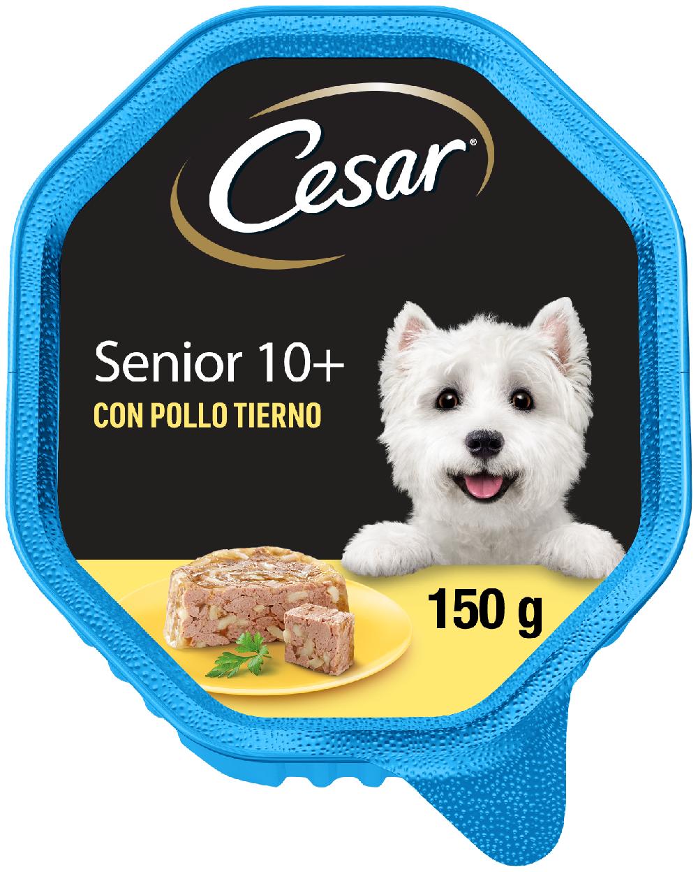 Miscota Cesar Cibo umido per cani anziani in patè con pollo e vasca di riso In Vendita