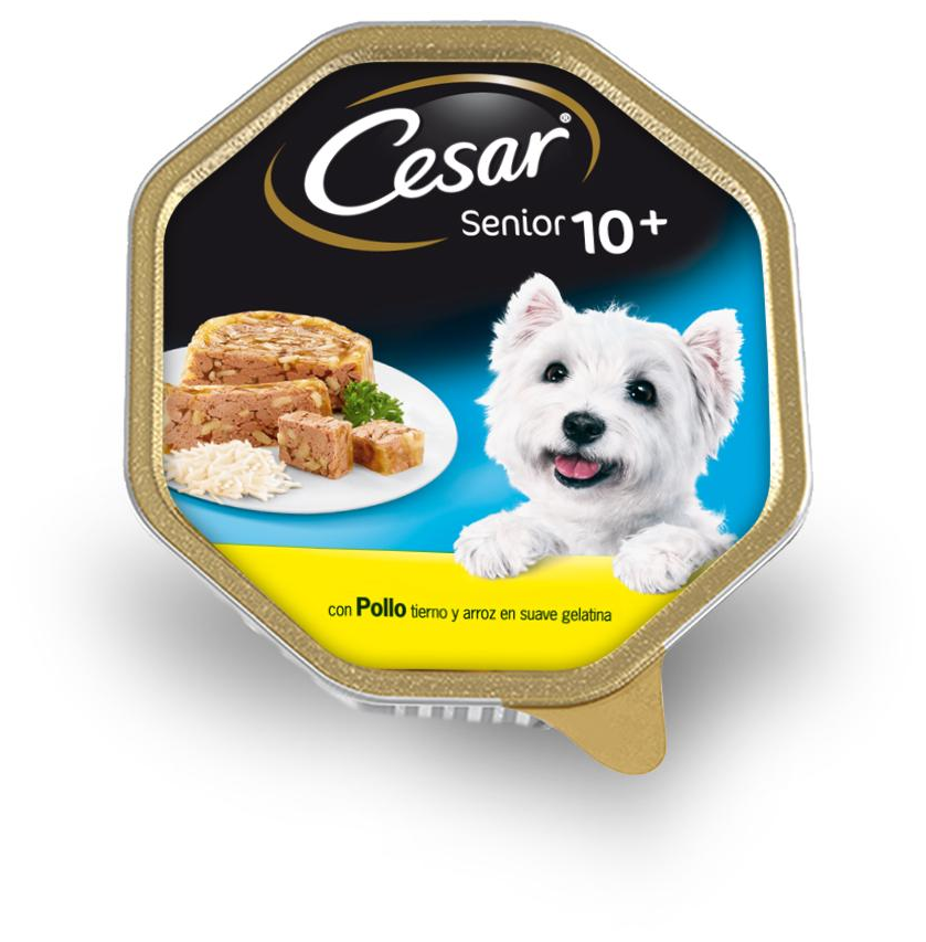 Miscota Cesar Cibo umido per cani anziani in patè con pollo e vasca di riso In Vendita