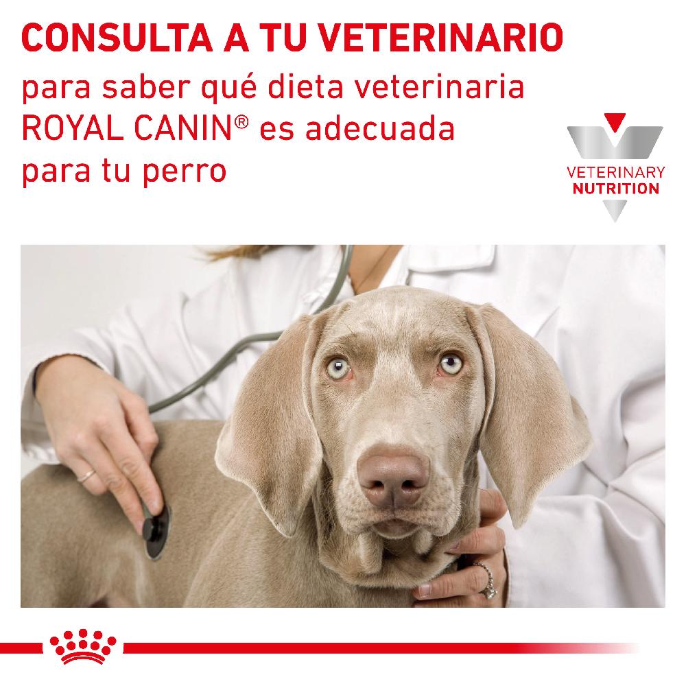 Miscota Royal Canin Cibo Secco per Cani Fibre Response Canine Saldi Di Fabbrica