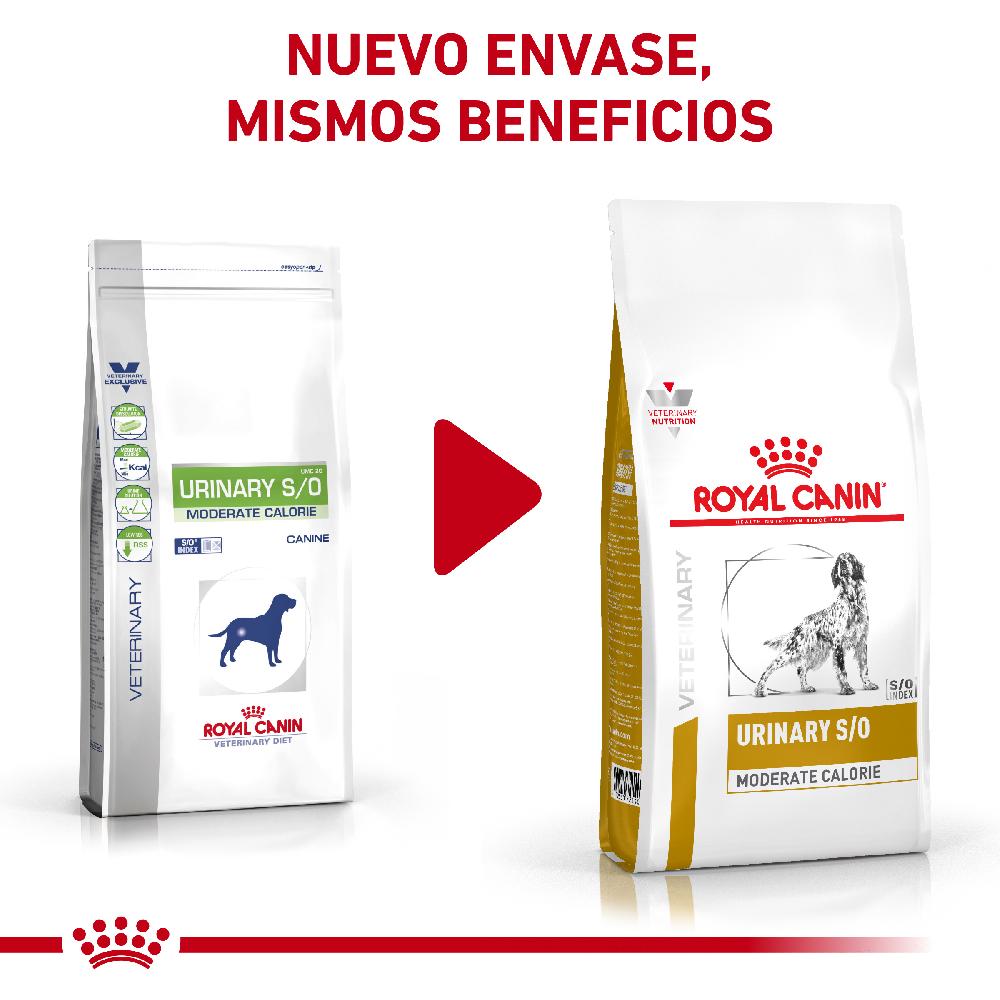 Miscota Royal Canin Cibo Secco per Cani Urinare S/O Moderate Calorie Canine Vendite Flash