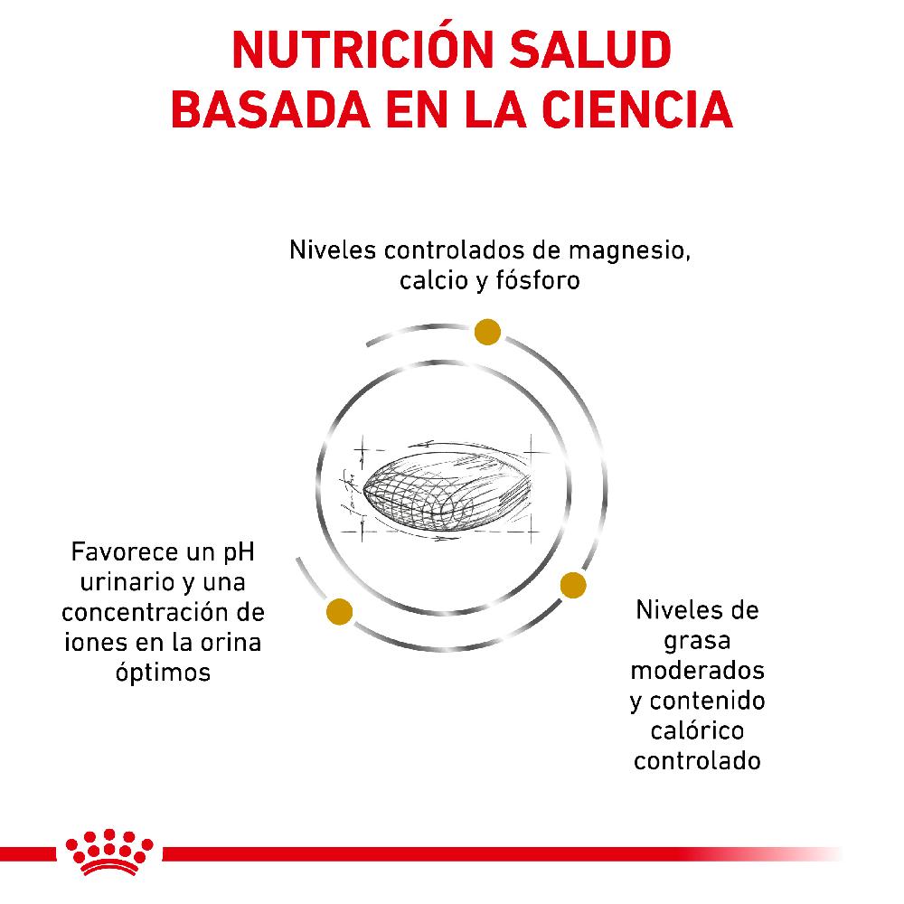 Miscota Royal Canin Cibo Secco per Cani Urinare S/O Moderate Calorie Canine Vendite Flash