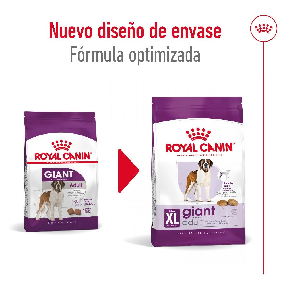 Miscota Royal Canin Cibo Secco per Cani Giant Adult Negozio