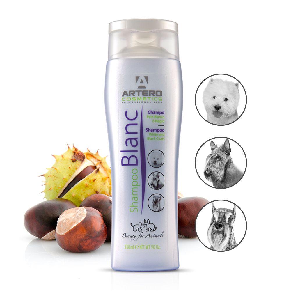 Miscota Artero Shampoo Blanc In Saldo
