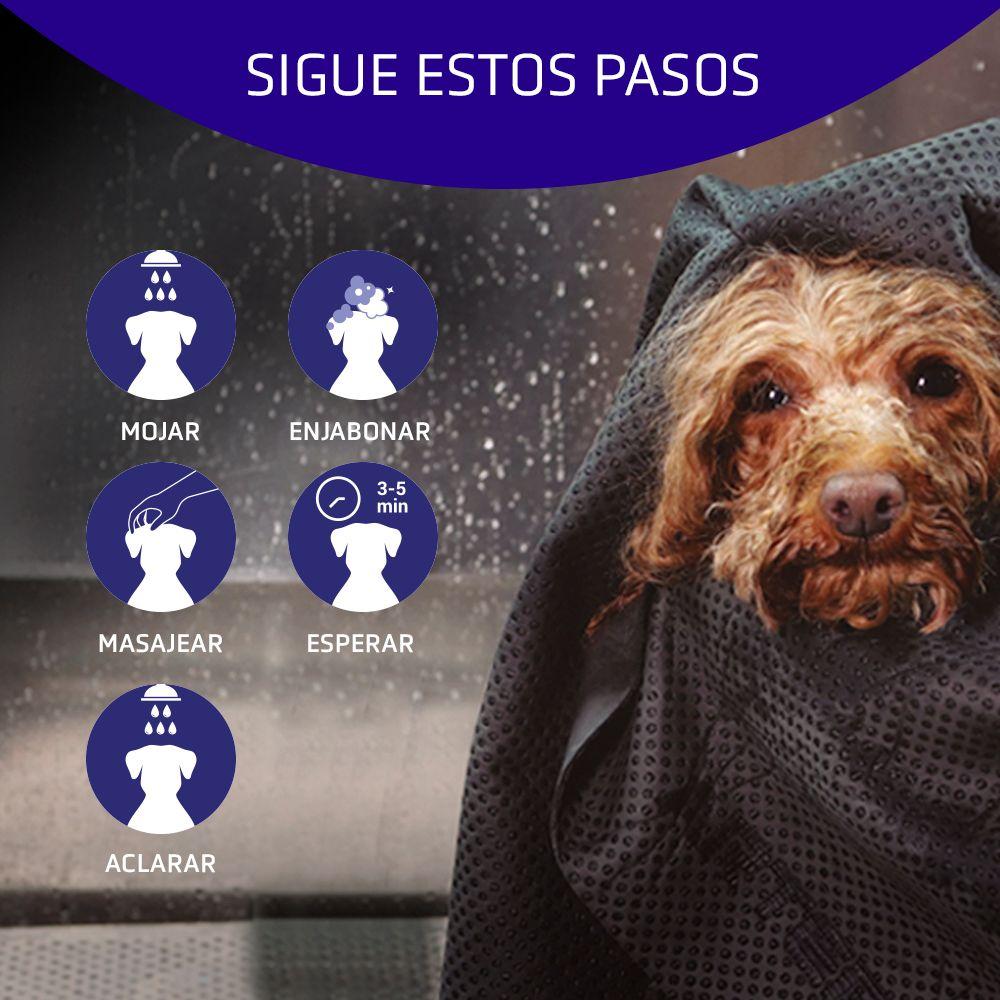 Miscota Artero Shampoo Blanc In Saldo