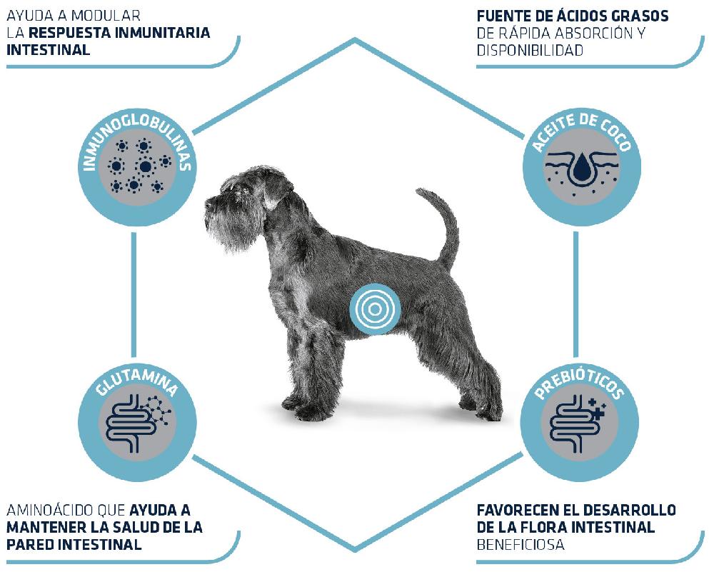 Miscota Advance Cibo Secco Veterinare Diet Gastroenteric Low Fat per Cani Nuovo