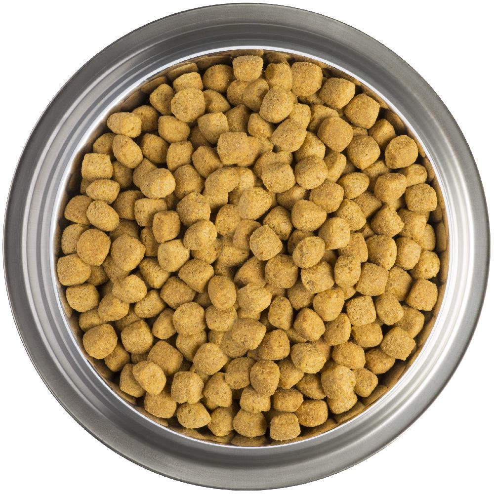 Miscota Pro Plan Veterinary Diets EN Gastrointestinal Spedizione Gratuita