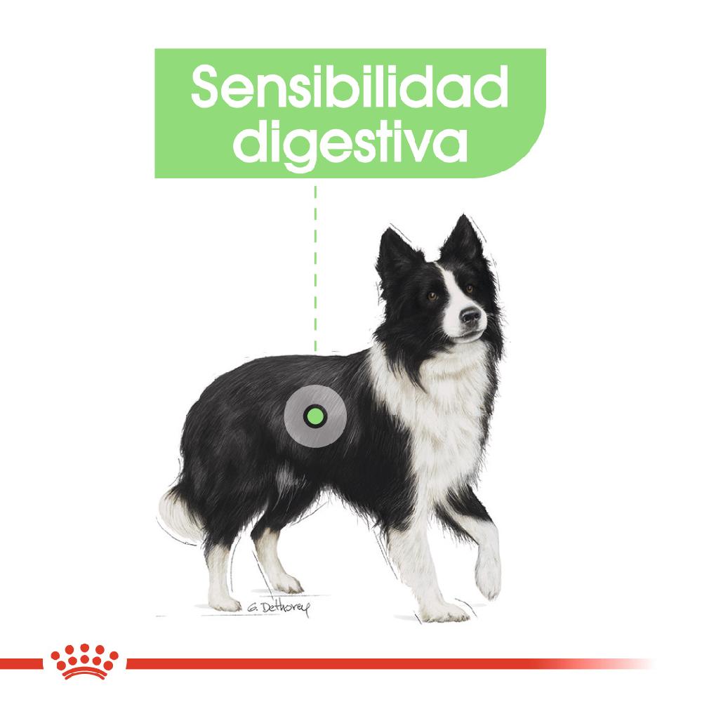 Miscota Royal Canin Medium Digestive adulti con sensibilità digestiva Soddisfazione Garantita