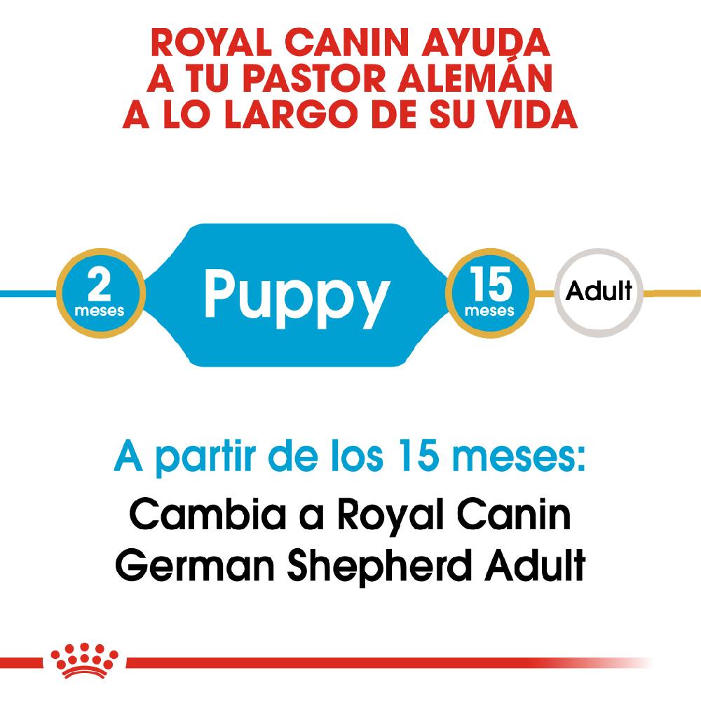 Miscota Royal Canin Cibo Secco per Cani Pastore Tedesco Junior Online