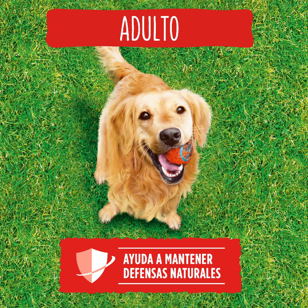 Miscota Purina Friskies Cibo Secco per Cani Adult di Carne e Ortaggi Saldi