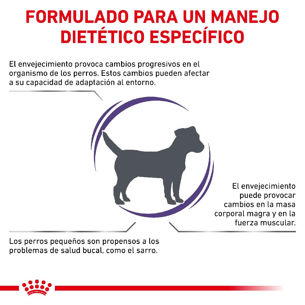Miscota Royal Canin Cibo Secco per Cani Senior Consult Mature Small Dog Offerte