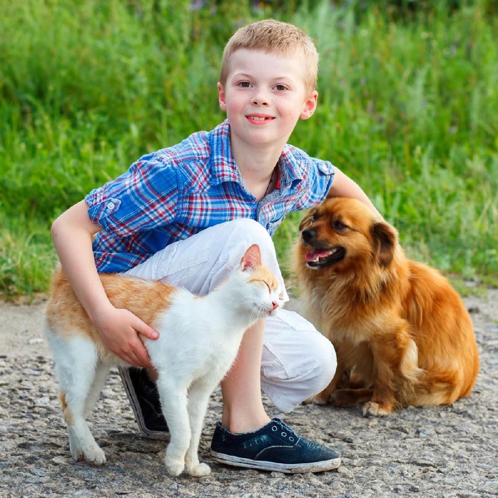 Miscota JTPharma Vitamina C Per Cani Gatti Ed Esotici Nuova