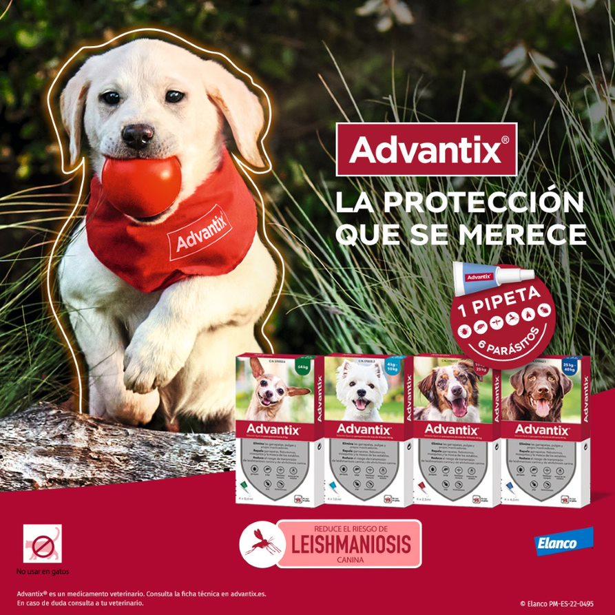 Miscota Advantix Pipetta Taglia Media 10-25 Kg Nuovo