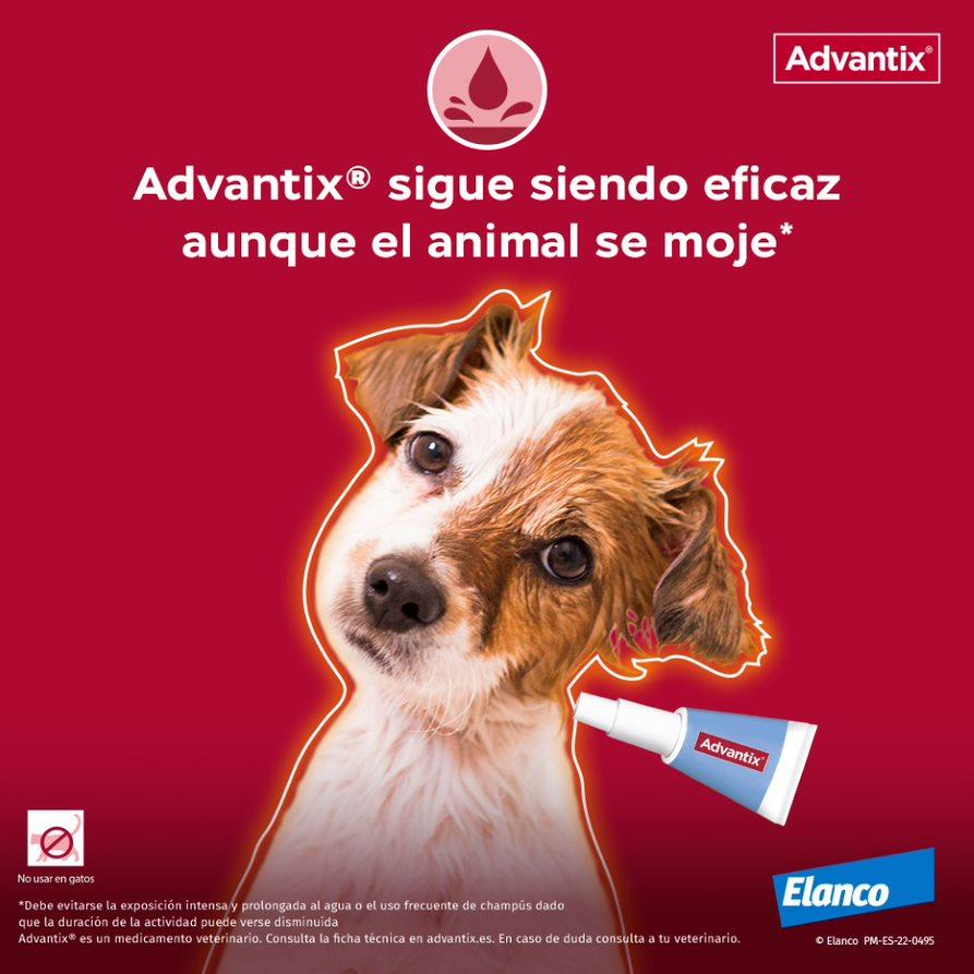 Miscota Advantix Pipetta Taglia Media 10-25 Kg Nuovo