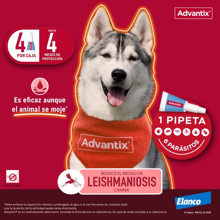Miscota Advantix Pipetta Taglia Media 10-25 Kg Nuovo