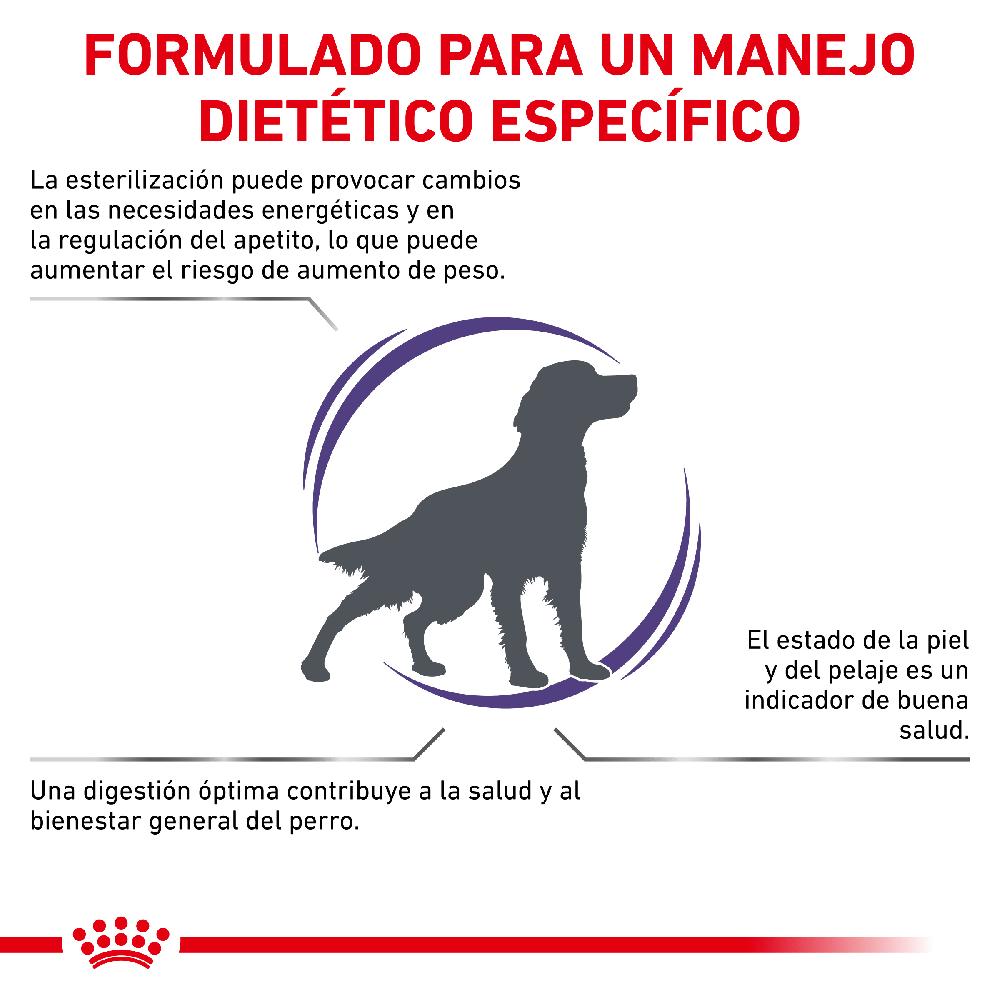 Miscota Royal Canin Cibo Secco per Cani Neutered Adult Medium Dog Qualità